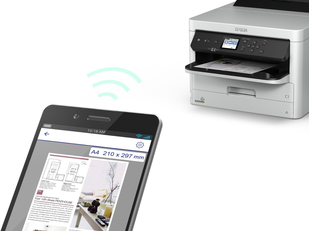 epson-c13t01d100-5.jpg
