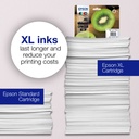 epson-c13t02f44010-4.jpg