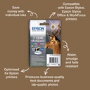 epson-c13t13014012-3.jpg