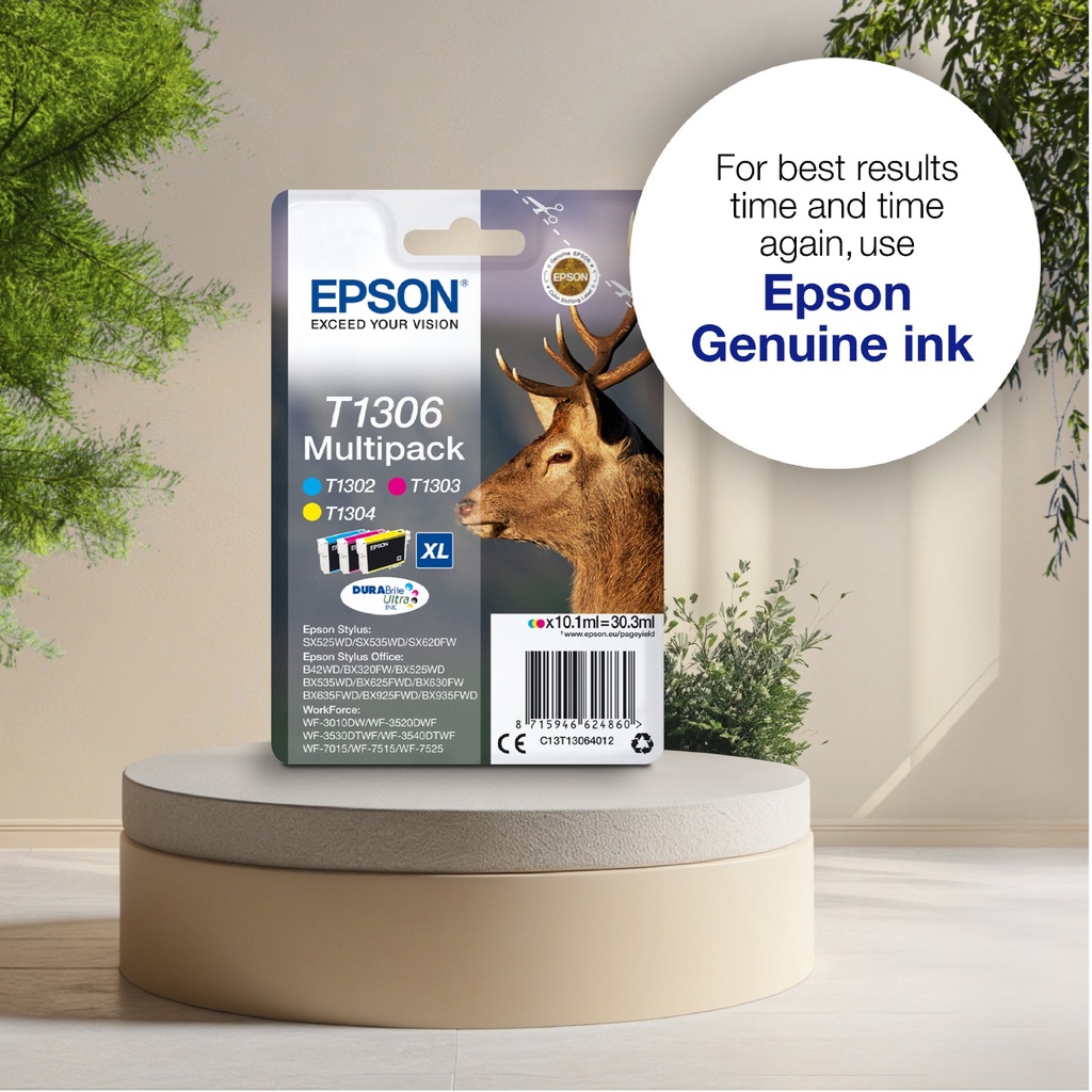 epson-c13t13014012-4.jpg