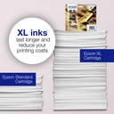 epson-c13t16244012-3.jpg
