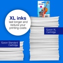 epson-c13t16n34010-5.jpg