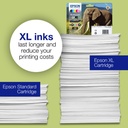 epson-c13t24324012-4.jpg