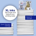 epson-c13t26164010-6.jpg