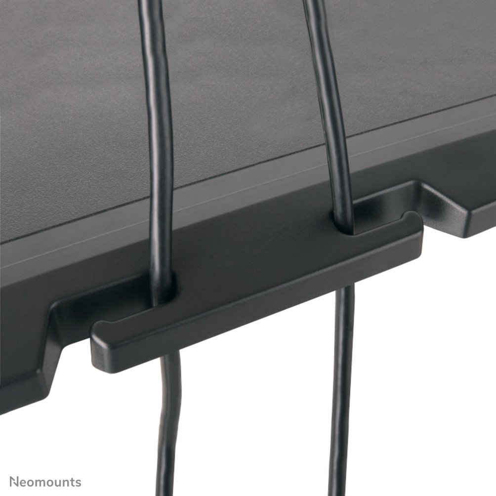 neomounts-nsmonitor20-6.jpg