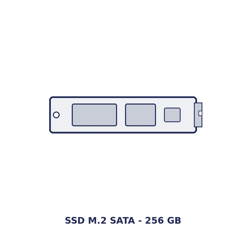 SAGA M2SSD256 M.2-SATA-SSD 256 GB, Werksoption