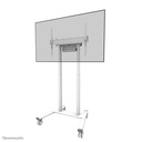 Neomounts FL55-875WH1 display trolley, 55 to 100 inch, up to 110 kg, VESA 100x100 to 800x600, Fixed